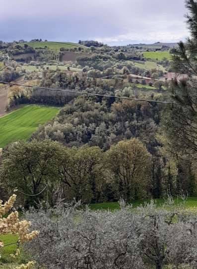 terreno agricolo in vendita a Montegiorgio