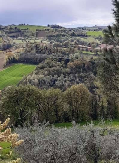terreno agricolo in vendita a Montegiorgio