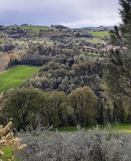terreno agricolo in vendita a Montegiorgio