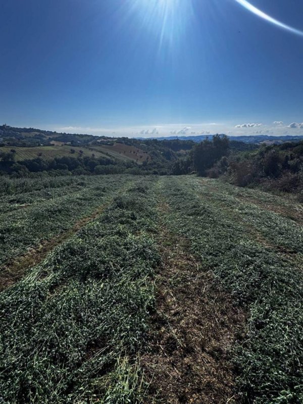 casa indipendente in vendita a Montegiorgio
