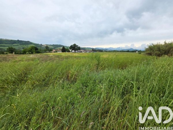 casa indipendente in vendita a Montegiorgio