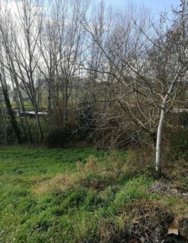 terreno agricolo in vendita a Montegiorgio
