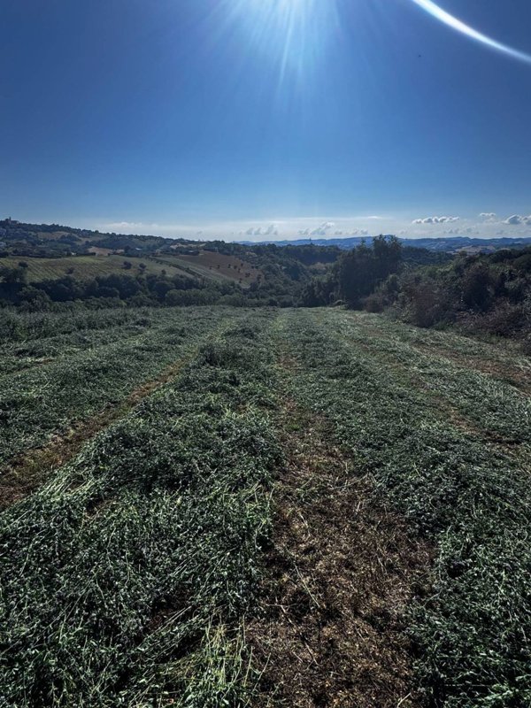 casa indipendente in vendita a Montegiorgio