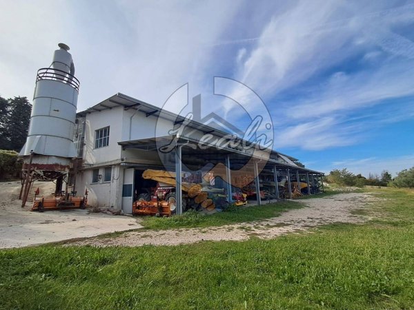 terreno agricolo in vendita a Montegiorgio