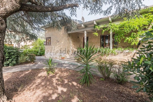 casa indipendente in vendita a Montegiorgio