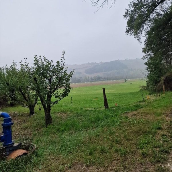 terreno agricolo in vendita a Montegiorgio