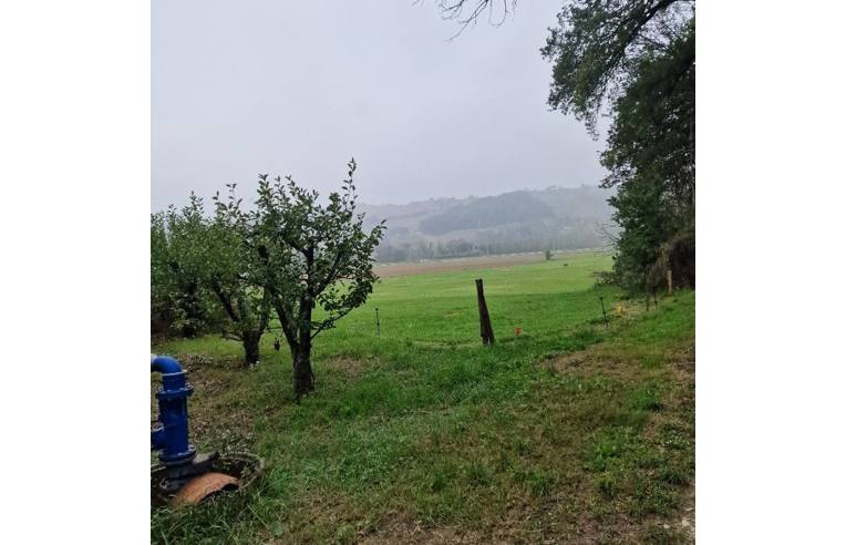 terreno agricolo in vendita a Montegiorgio