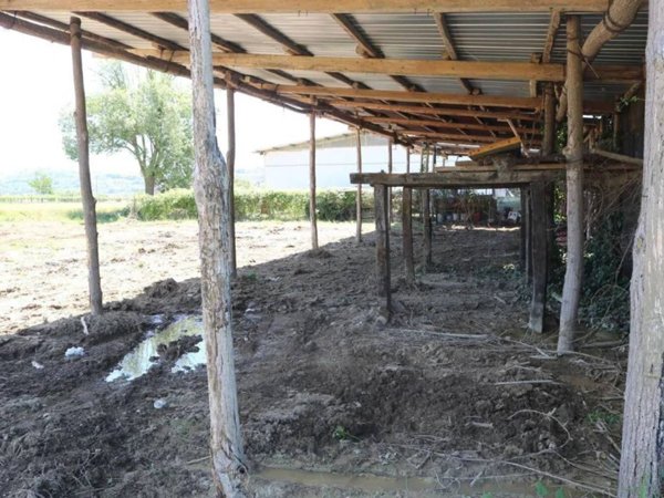 terreno agricolo in vendita a Montegiorgio in zona Monte Verde