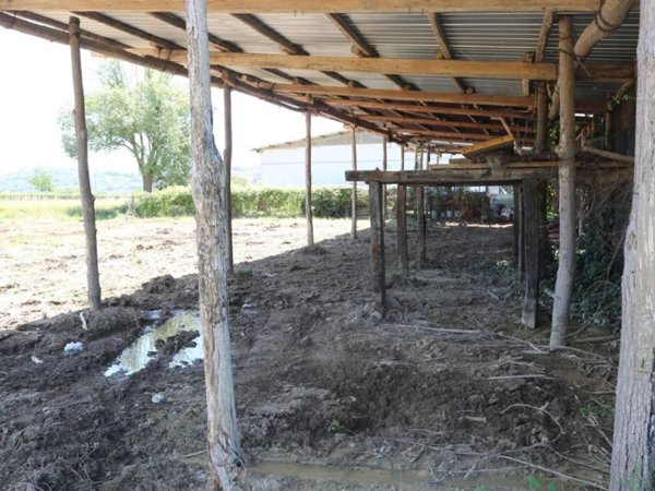 terreno agricolo in vendita a Montegiorgio in zona Monte Verde