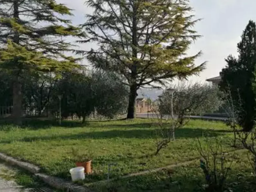 terreno agricolo in vendita a Montegiorgio