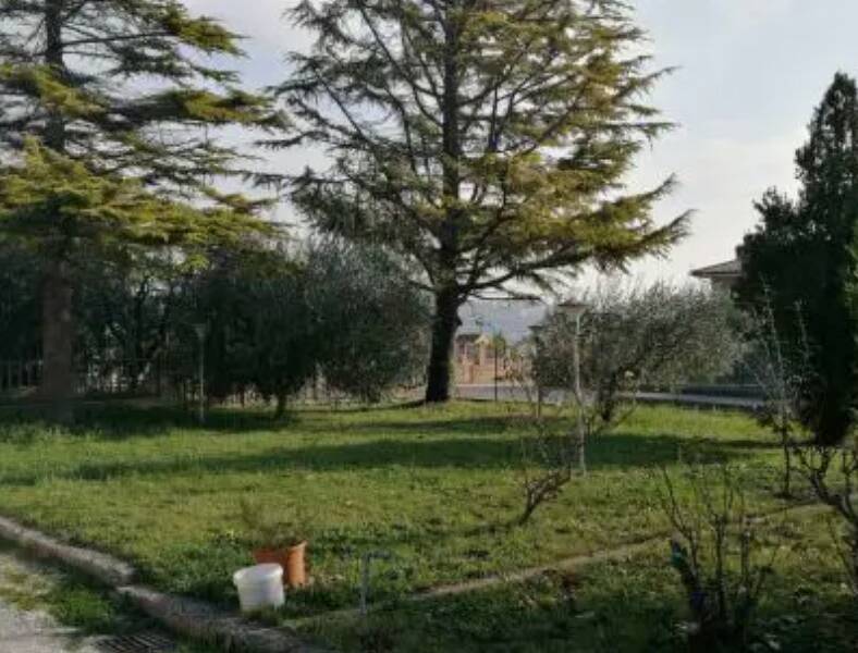 terreno agricolo in vendita a Montegiorgio