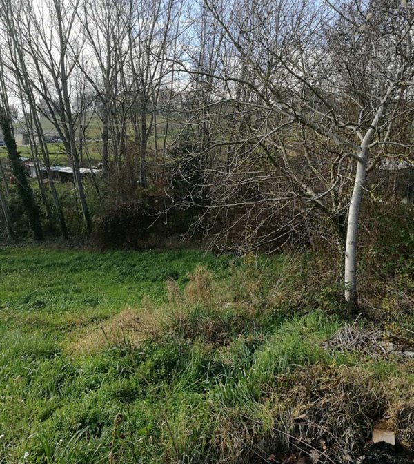 terreno agricolo in vendita a Montegiorgio