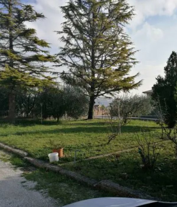 terreno agricolo in vendita a Montegiorgio