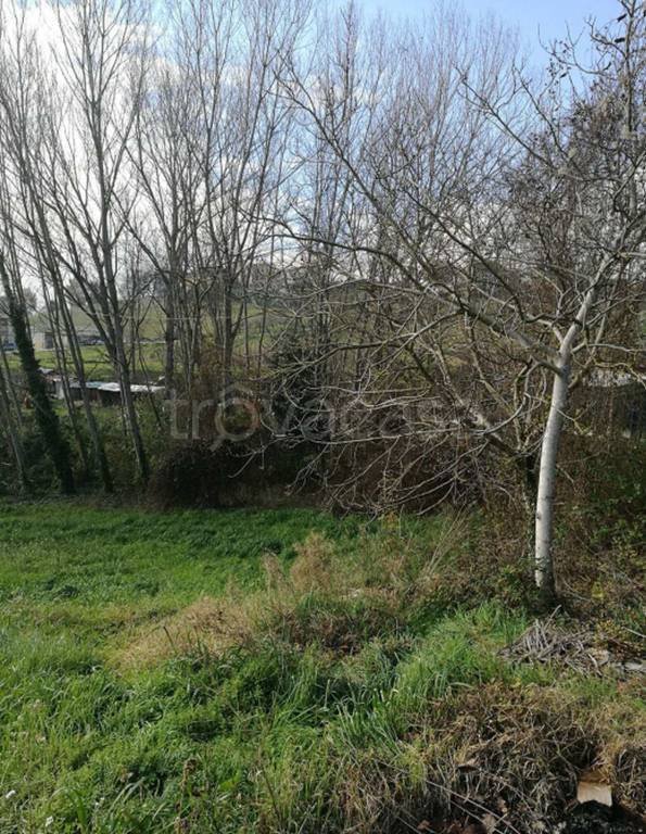 terreno agricolo in vendita a Montegiorgio