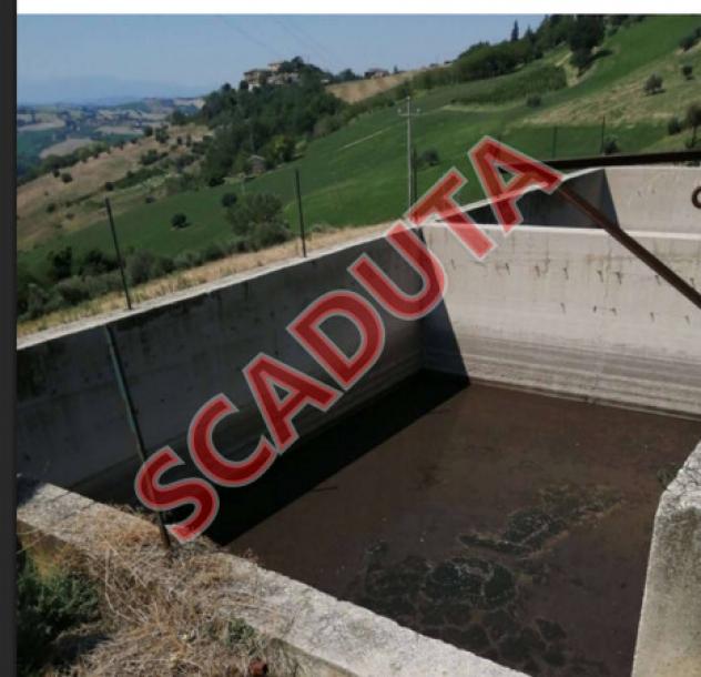 pentavano in vendita a Montegiorgio in zona Alteta