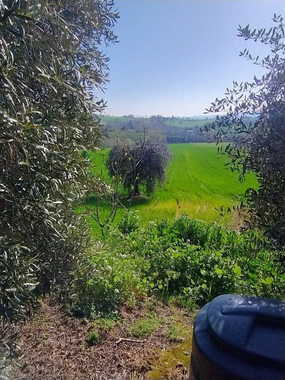 casa indipendente in vendita a Montegiorgio in zona Croce di via