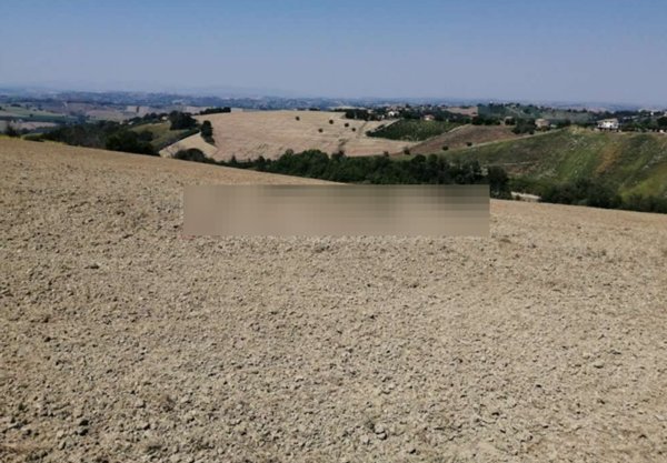 terreno agricolo in vendita a Montegiorgio in zona Cerreto