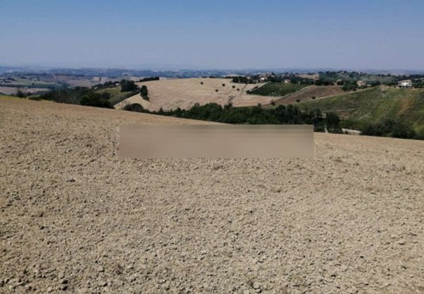 terreno agricolo in vendita a Montegiorgio in zona Cerreto
