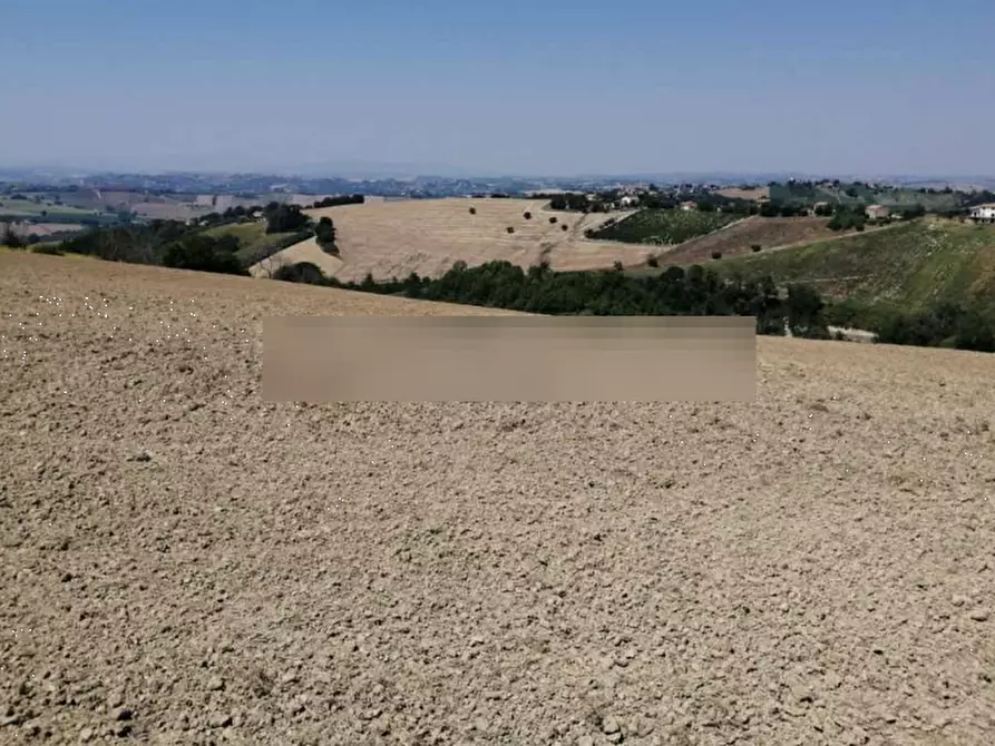 terreno agricolo in vendita a Montegiorgio in zona Cerreto