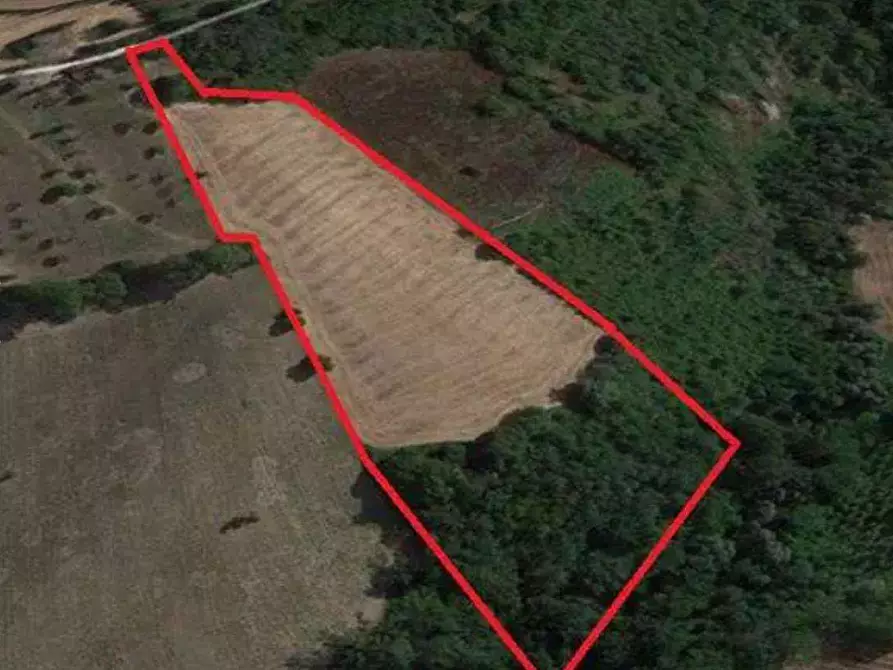 terreno agricolo in vendita a Montegiorgio in zona Alteta