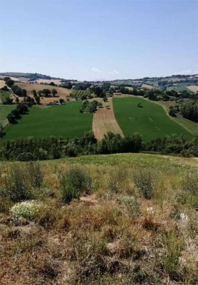 terreno agricolo in vendita a Montegiorgio in zona Alteta