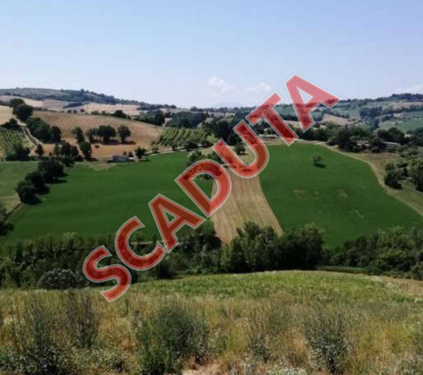 terreno edificabile in vendita a Montegiorgio in zona Alteta