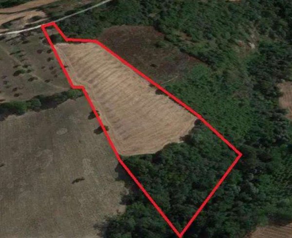 terreno agricolo in vendita a Montegiorgio in zona Alteta