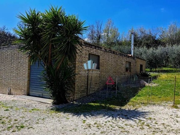 terreno agricolo in vendita a Montegiorgio