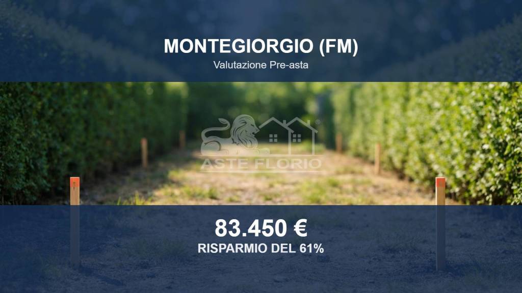 terreno agricolo in vendita a Montegiorgio