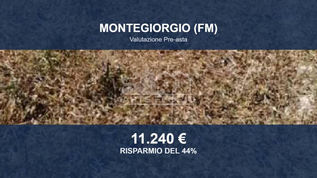 terreno agricolo in vendita a Montegiorgio in zona Alteta