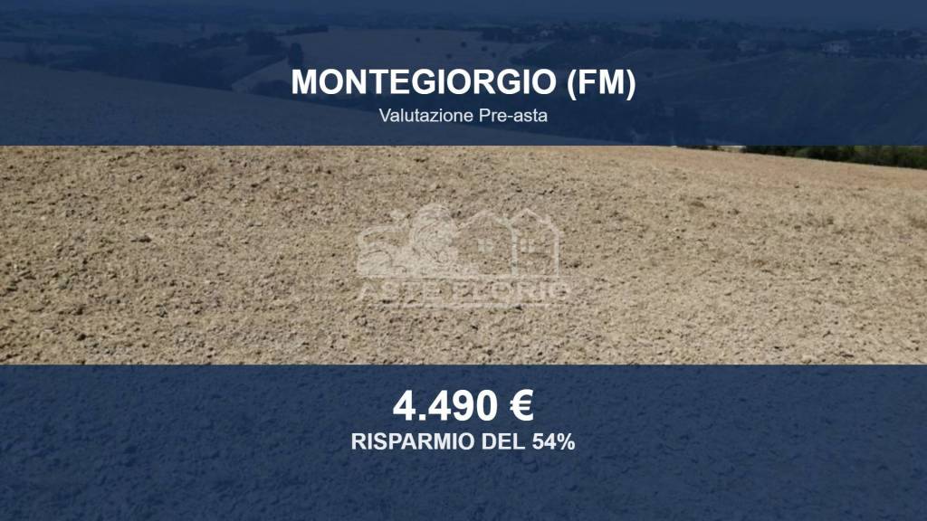terreno agricolo in vendita a Montegiorgio in zona Cerreto