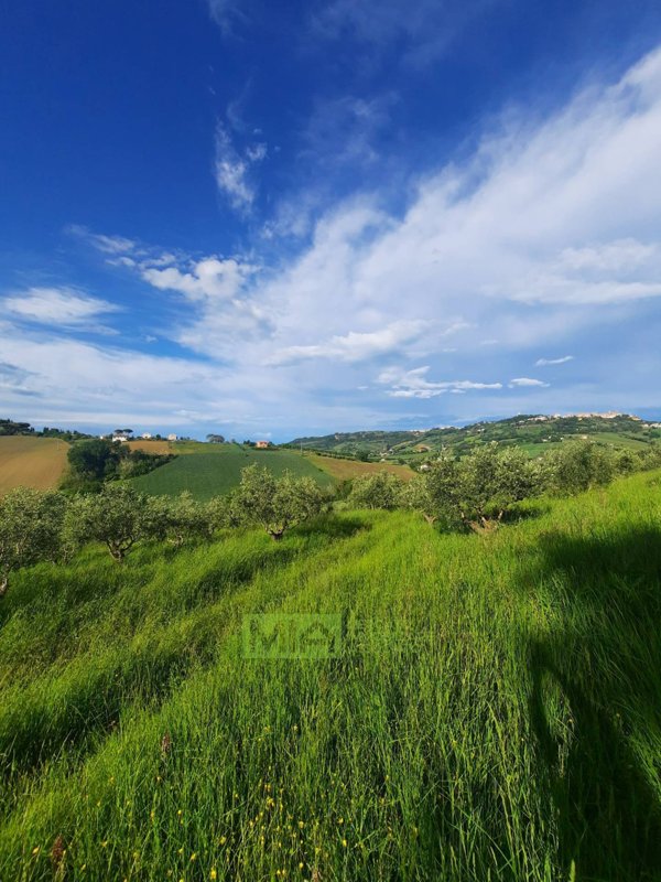 terreno agricolo in vendita a Montegranaro in zona Santa Leandra