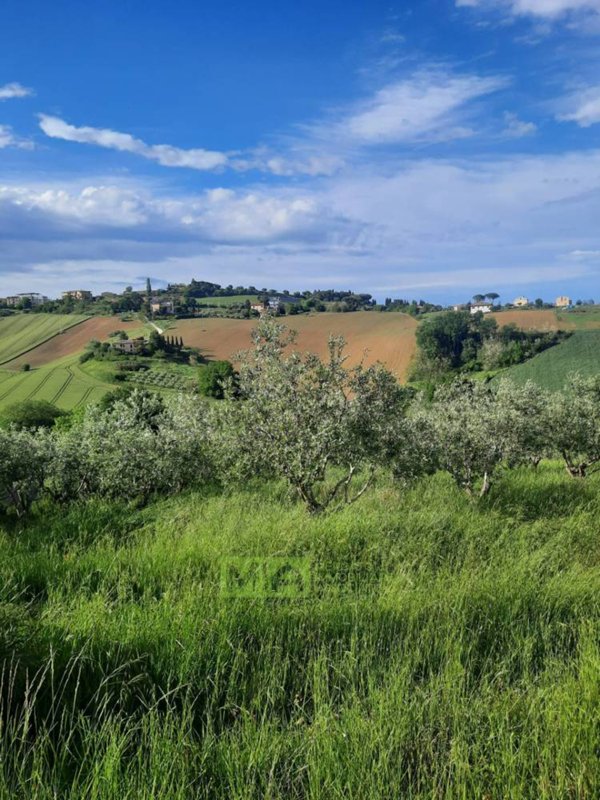 terreno agricolo in vendita a Montegranaro in zona Santa Leandra
