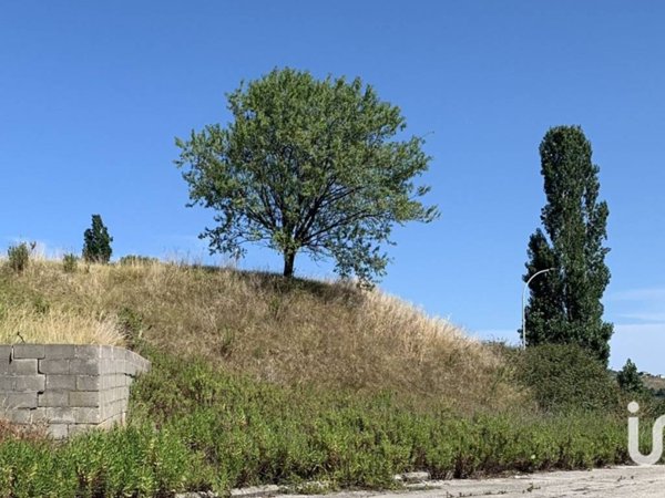 terreno agricolo in vendita a Montegranaro