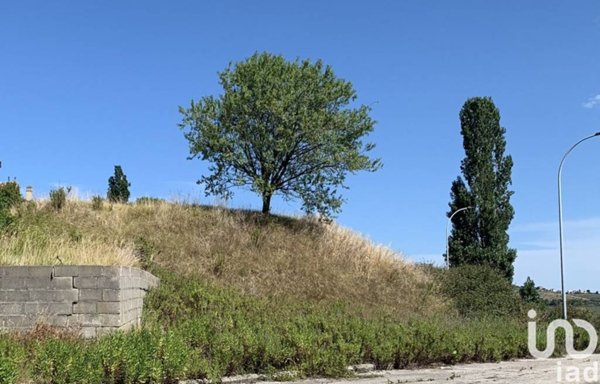 terreno agricolo in vendita a Montegranaro