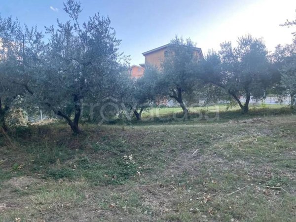 casa indipendente in vendita a Montegranaro