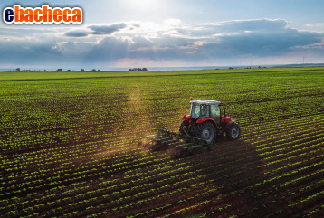 terreno agricolo in vendita a Montegranaro