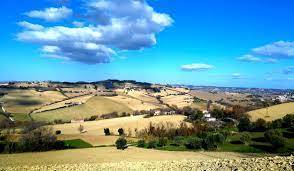 terreno agricolo in vendita a Montegranaro