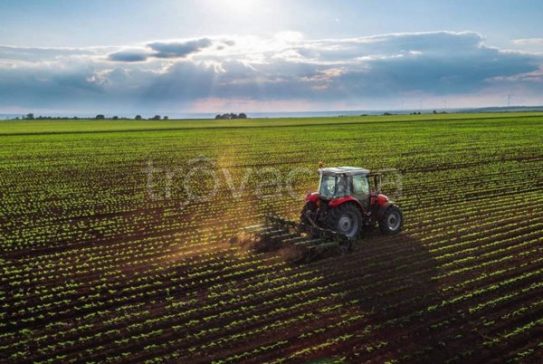terreno agricolo in vendita a Montegranaro