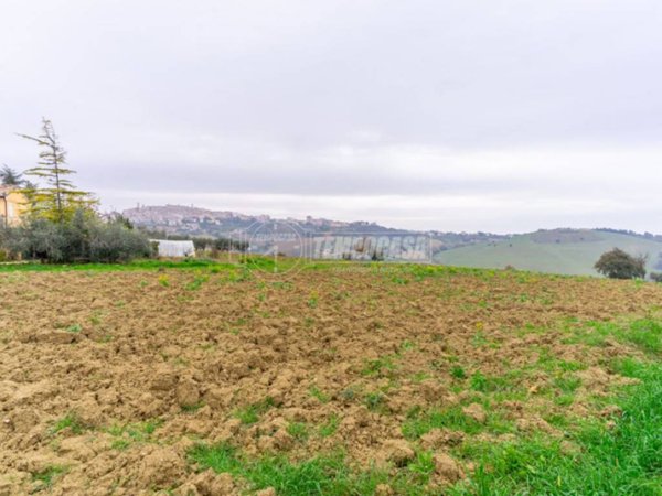 negozio in vendita a Montegranaro