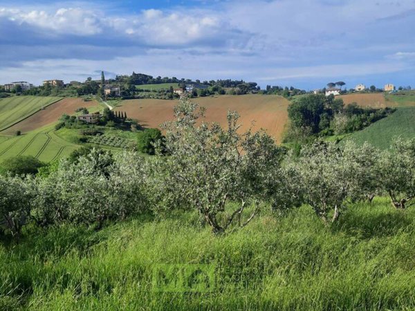 terreno agricolo in vendita a Montegranaro in zona Santa Leandra