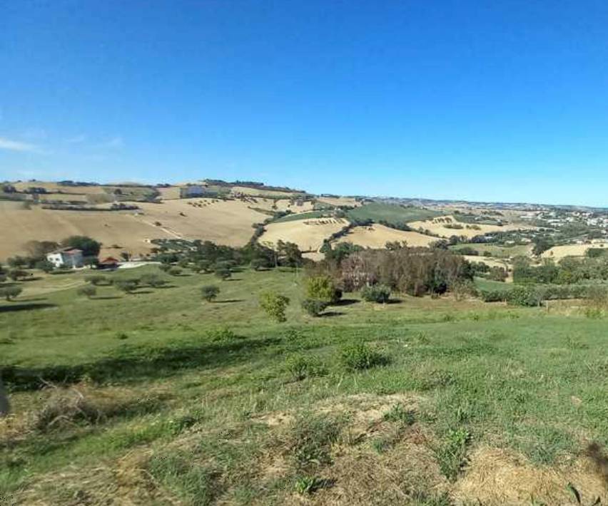 terreno agricolo in vendita a Montegranaro in zona San Tommaso