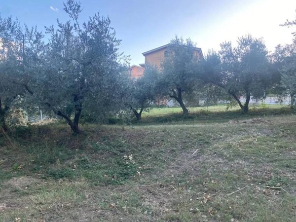 terreno agricolo in vendita a Montegranaro