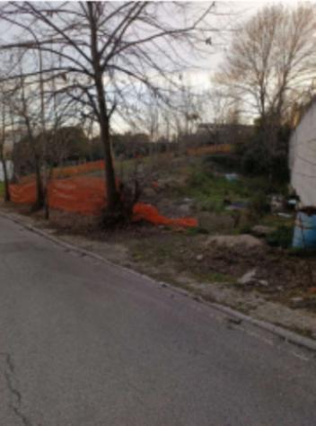 terreno agricolo in vendita a Montegranaro