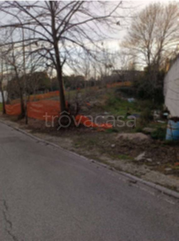 terreno agricolo in vendita a Montegranaro