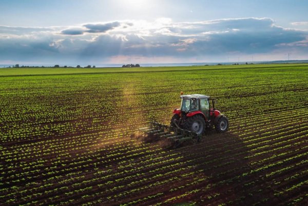 terreno agricolo in vendita a Montegranaro