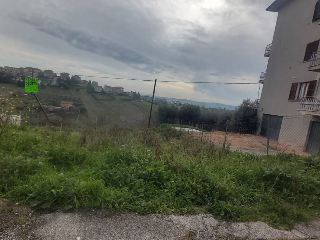 terreno agricolo in vendita a Montegranaro