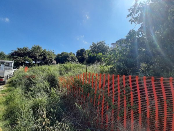 terreno agricolo in vendita a Montegranaro
