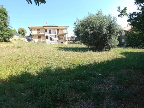 terreno agricolo in vendita a Montegranaro