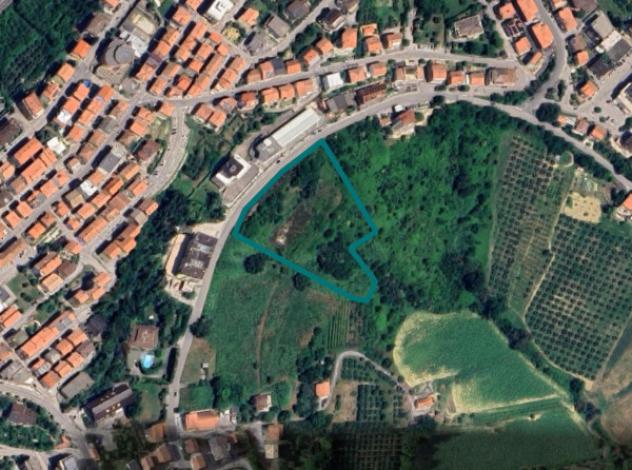 terreno agricolo in vendita a Montegranaro